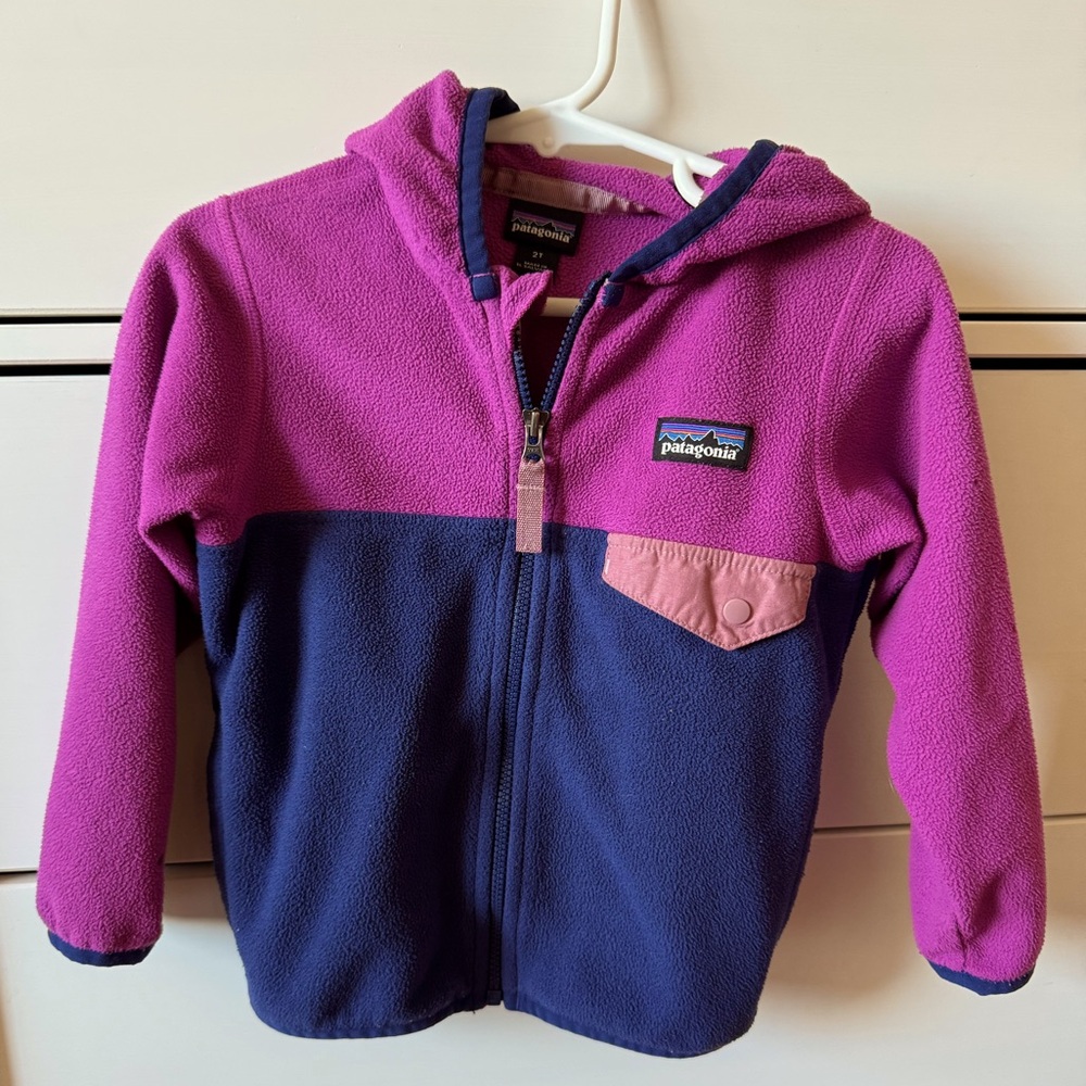 Patagonia Baby Synchilla Hoody
Pink/Blue 
Size 2T